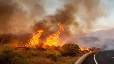 pastos ardiendo en Los Alamillos y la carretera al lado.