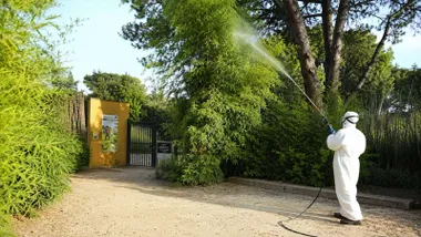 Operario con traje impermeable blanco fumigando en el Zoo de Jerez.