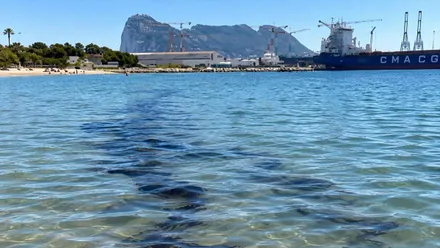 Dos líneas de hidrocarburos en el agua de la playa.