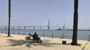 Un hombre sentado bajo la sombra de una palmera pesca desde la Avenida de la Bahía de Cádiz. Al fondo se ve el Puente de la Constitución de 1812 sobre la bahía, con cielo ligeramente blanquecino por la calima y ambiente soleado junto al mar.