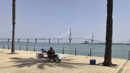 Un hombre sentado bajo la sombra de una palmera pesca desde la Avenida de la Bahía de Cádiz. Al fondo se ve el Puente de la Constitución de 1812 sobre la bahía, con cielo ligeramente blanquecino por la calima y ambiente soleado junto al mar.