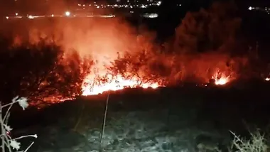 llamas del monte, destacan las casas cercanas al fondo.