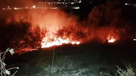 llamas del monte, destacan las casas cercanas al fondo.