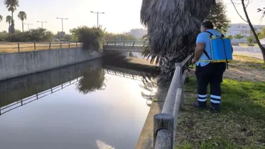 Operario limpia el cauce del río en Rota.