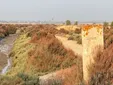La salina San Joaquín inicia su transformación con el proyecto de carbono azul de Zona Franca de Cádiz