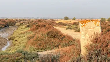Vista general de la salina San Joaquín, en Chiclana de la Frontera. En primer plano se observan matorrales propios de la marisma y un antiguo elemento de hormigón junto a un camino de servicio. A la izquierda aparece un canal de la salina parcialmente seco y, al fondo, la llanura marismeña se extiende hasta el horizonte. La imagen muestra el estado actual del espacio antes de su restauración ambiental mediante el proyecto de carbono azul de Zona Franca de Cádiz.
