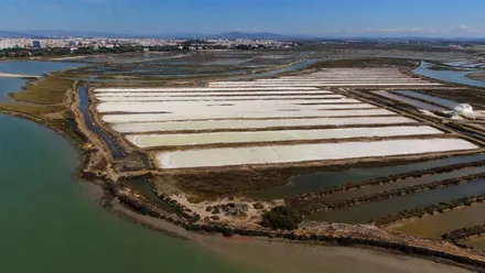 Vista aérea de unas salinas en San Fernando.