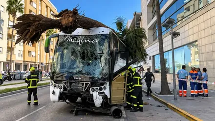 AUtobús siniestrado con la palmera en su techo y bomberos y sanitarios a su alrededor.