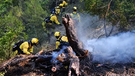 Efectivos de bomberos en Cañada Honda, en Los Barrios, actuando en el incendio forestal.