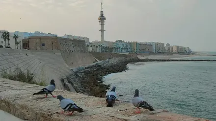 Vista panorámica del litoral de Cádiz con el mar en primer plano y el Pirulí sobresaliendo sobre los edificios del frente marítimo. La torre de telecomunicaciones forma parte del inmueble de Telefónica que se proyecta transformar en un hotel de cuatro estrellas.