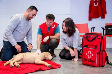 Tres personas participan en una práctica de primeros auxilios con un maniquí de perro tumbado sobre una manta roja. En el centro, un instructor con chaleco de Cruz Roja realiza una maniobra sobre el animal mientras los participantes observan. A la derecha aparece una mochila roja de emergencias.