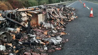 Muchas cajas de pulpo en la carretera. Camión accidentado.