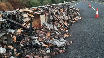 Muchas cajas de pulpo en la carretera. Camión accidentado.