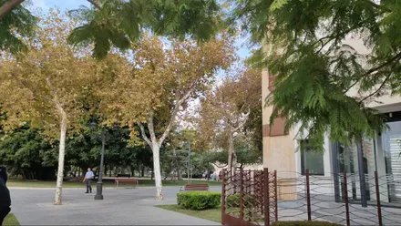 Árboles en la Plaza de España de Cádiz bajo un cielo con algunas nubes.