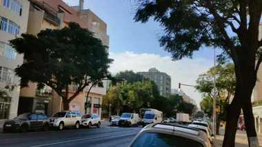 Vista de una avenida principal de la provincia de Cádiz durante una jornada soleada.