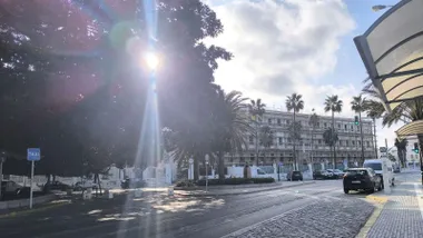 Vista de la avenida Duque de Nájera, en Cádiz, con el sol filtrándose entre las ramas del Árbol del Mora. Al fondo aparecen varias palmeras, el antiguo edificio de Valcárcel, vehículos circulando y algunas nubes en el cielo.