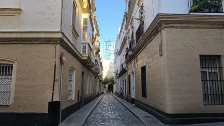 Calle estrecha y empedrada del centro histórico de Cádiz, flanqueada por edificios de fachadas claras con balcones, ventanas enrejadas y faroles. Al fondo se aprecia una zona iluminada por el sol bajo un cielo azul, mientras varias personas caminan por la calle.