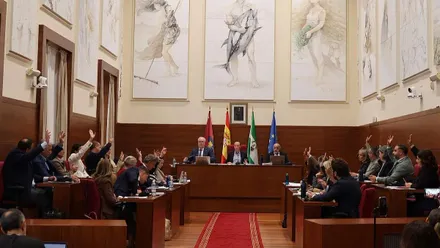 Pleno municipal de Chiclana.