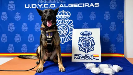 La perra policía antidroga Shanel junto a los estupefacientes incautados.