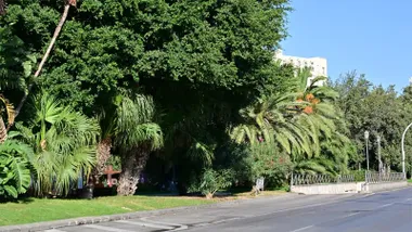 Los jardines de Canalejas de Cádiz, uno de los lugares en los que dormía Jesús, 'El Indio'. Foto: Eulogio García.