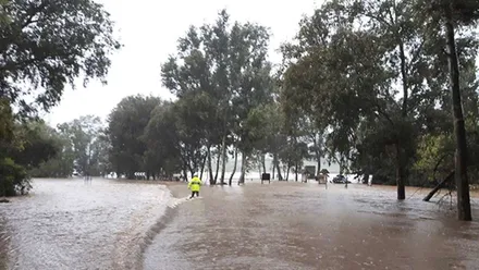 Carretera junto al río Palmones.