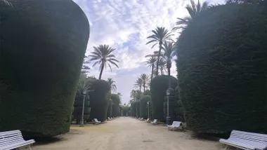 Imagen del paseo interior del Parque Genovés de Cádiz. Foto: José Luis Porquicho Prada.